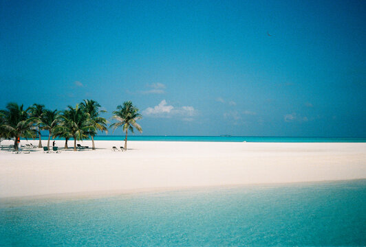 Film Photo of White Sand Beach with Palm Trees, Maldives