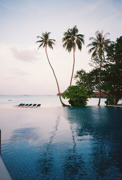 
Film Photo of Infinity Pool with Palm Trees at Maldives Resort