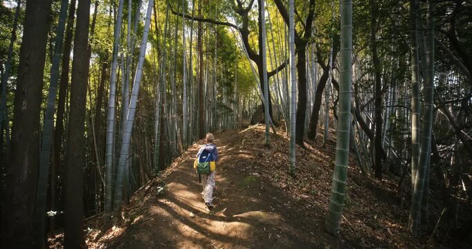 Following lone kid with backpack on dirt trail through bamboo grove in Japan - wide, steady cam shot