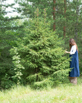 Woman in blue dress near the tree 3