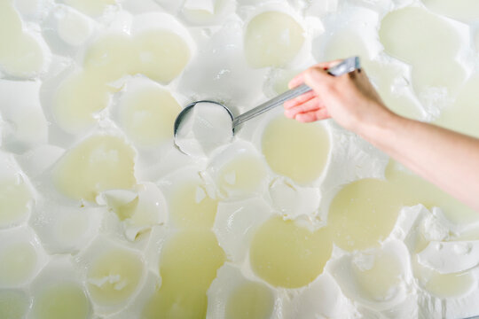 Cheesemaker scooping milk curds from fresh whey