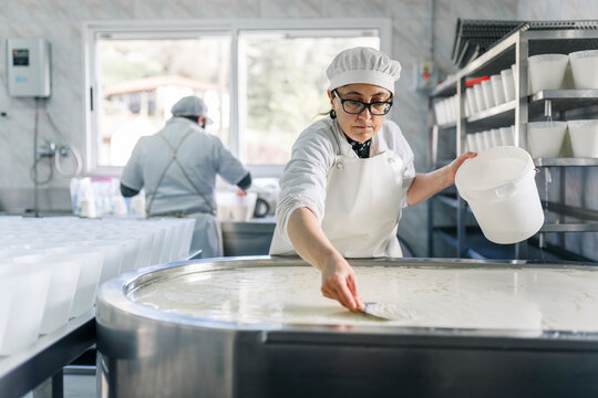 Artisanal cheesemakers working manufacturing cheese