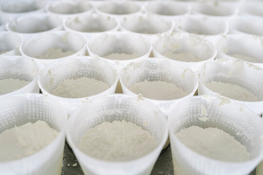 Fresh curd filling cheesemaking molds in dairy factory
