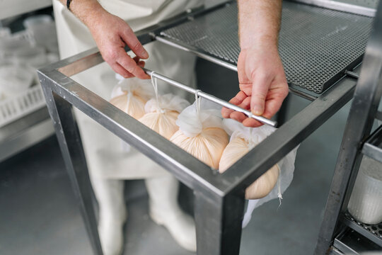 Artisan cheesemaker handling fresh curd from production process