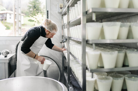 Cheesemaker preparing artisanal cheese in small dairy factory