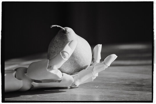 Hand holds pear on a table in black and white setting