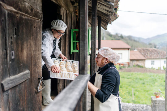 Artisan cheesemakers producing fresh cheese in rural factory
