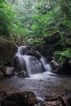 Waterfall stream flowing over mossy rocks in jungle