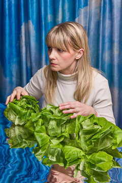 Woman Arranging Butter Lettuce in front of a Blue Sky Curtains
