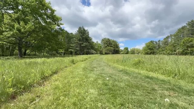 Mowed Path Through Green Field