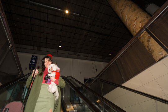 Travelers With Suitcase and Dog Go Down Stairs at Transport Station
