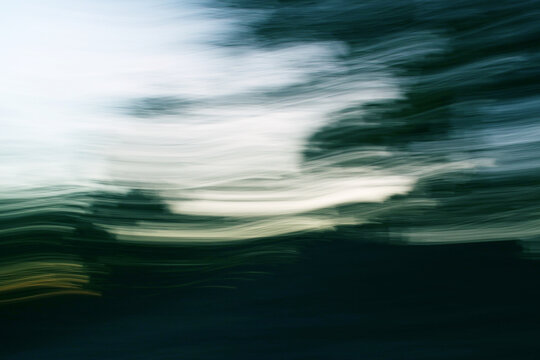 Abstract Forest Scene