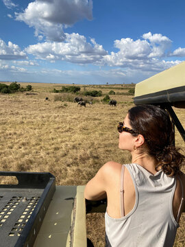 Safari Elephants in Grasslands