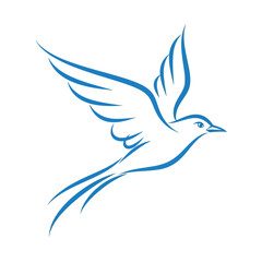 Obraz premium Blue outline of a bird in flight with wings spread on white background