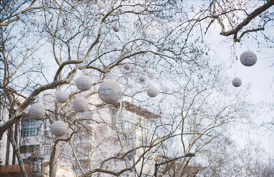 White Ornaments in Trees