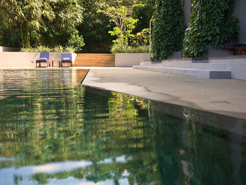 Relaxing by the Pool in a Green Outdoor Space in Afternoon Light