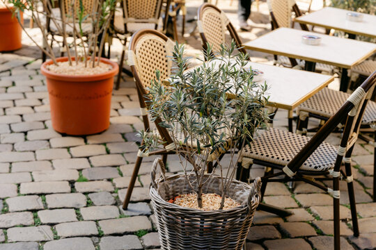 restaurant with tables and Caf&eacute; chairs in Lyon France, 