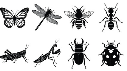 Vector collection of detailed black insect silhouettes featuring butterfly dragonfly honeybee ant grasshopper praying mantis stag beetle and ladybug © SreePoreshChandra