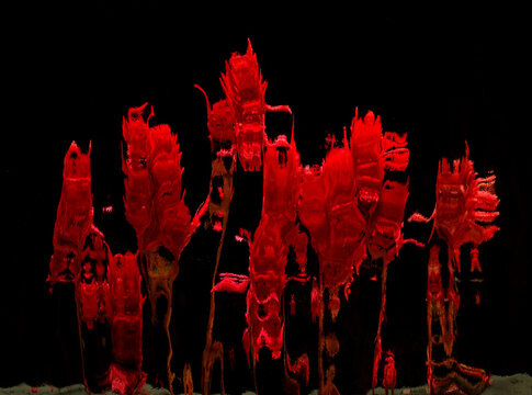 Abstract image of red flowers and plants seen through patterned glass