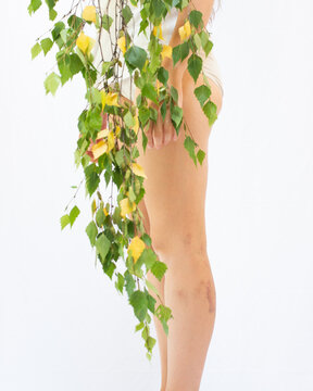 Portrait of woman with birch tree 2
