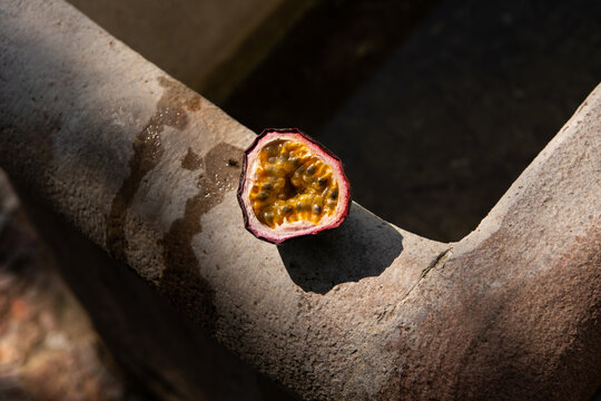  Passion fruit