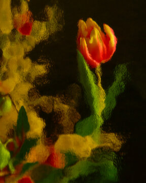 Bouquet of flowers seen through distorted glass, closeup