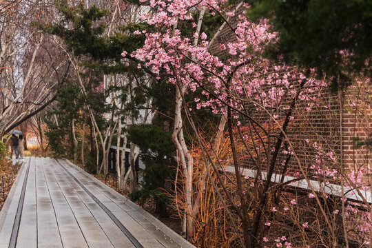 Spring in NYC