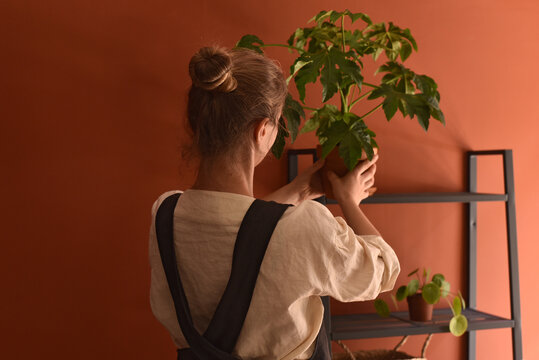 Woman arranges plants at home