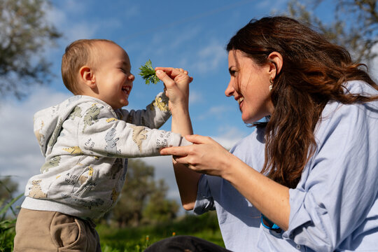 Toddler Smelling Plants