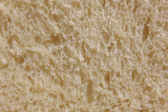 Close-Up of Fresh Bread Texture 