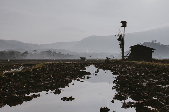 minimalist landscape of a small wooden hut in the middle of a foggy rice field with mountains in the background 