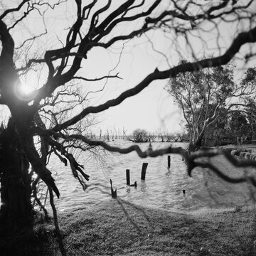 Trees Frame the Sun Setting Over the Water by the Shore