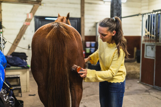 Woman Brushing a Brown Horse in a Barn