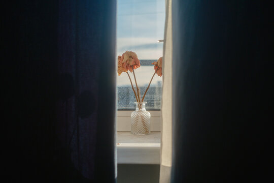 Window View With Dried Flowers in a Glass Vase Cozy Decor 