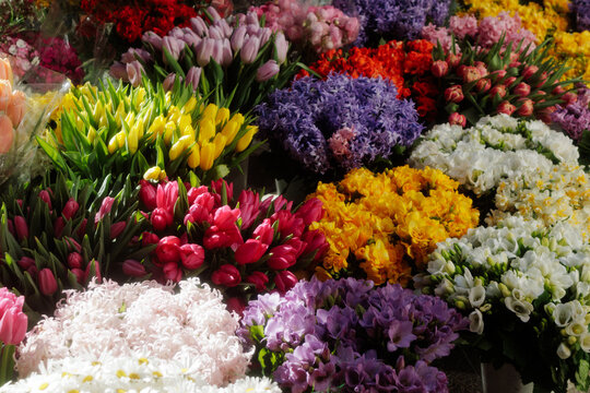 flowers on the counter