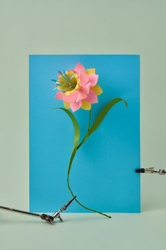 Paper flower on blue board, studio craft setup