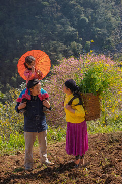 Hmong Parents and Child in Field