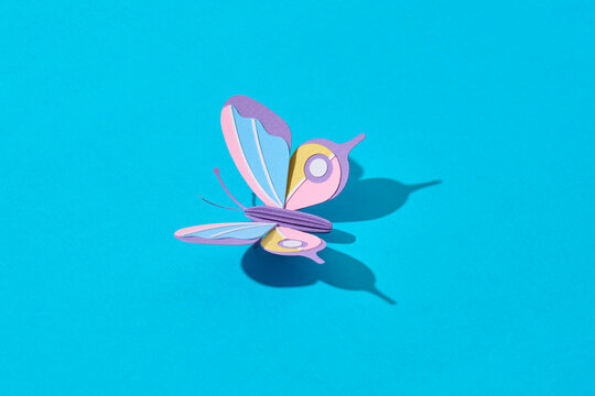 Paper spring craft butterfly on blue background