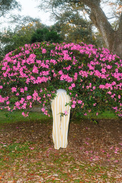 Anonymous Woman in Colorful Spring Flowers 