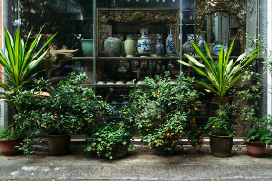 Bright Greenery and Pottery Display in a Vibrant Shopfront
