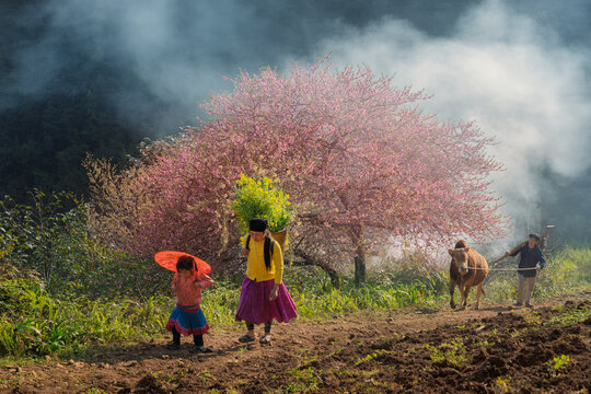 Hmong Mother and Child Walking