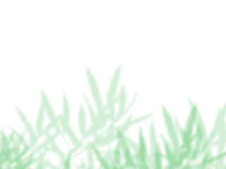 Fototapeta premium Realistic Grass Blades with Narrow Foliage Shadow Overlay Effect on White Wall, Aesthetic Summer Sunlight Botanical Shadow, Abstract Natural Plant Shadow Overlay