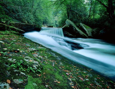 Cascades Davidson River Pisgah National Forest North Carolina spring