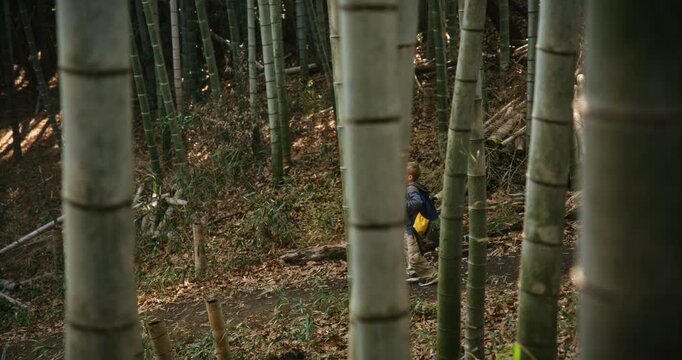 Little boy walking down bamboo thicket hill to large stone object - steady cam panning shot