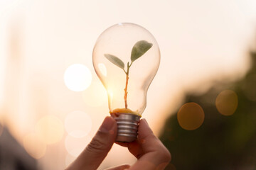 Fototapeta na wymiar Eco Lightbulb With Plant Sprout for Green Energy Concept