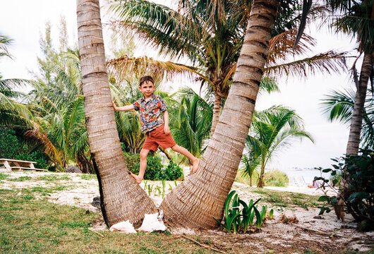 Child climbing palm trees while on vacation in the Bahamas