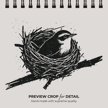 Hand drawn ink illustration of a bird sitting in a nest on a tree branch