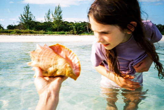 Child examines conch shell found by parent on tropical vacation 