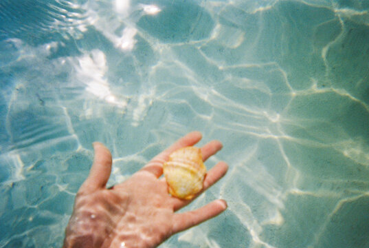 UGC disposable film camera hand holding  under water seashell