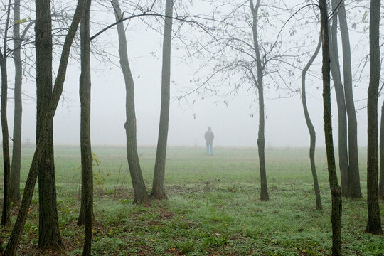 Person standing on green grass in winter fog